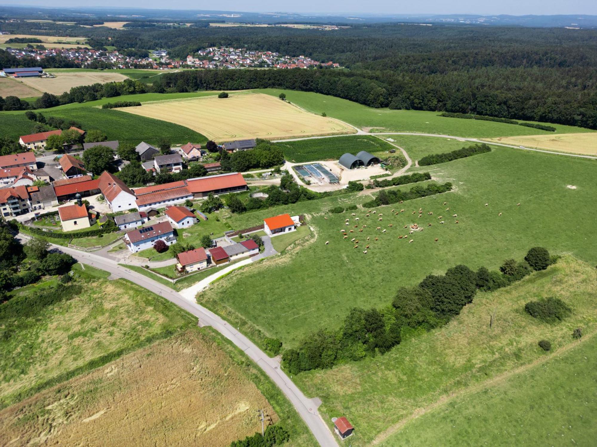 Apartament Wo Sich Kuh, Fuchs Und Hase Gute Nacht Sagen Wolfsegg Zewnętrze zdjęcie